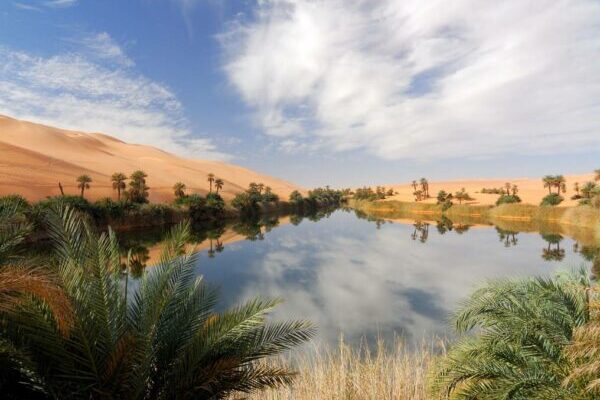 ADG Strengthens Sustainability Across the Group